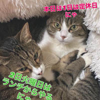 画像425