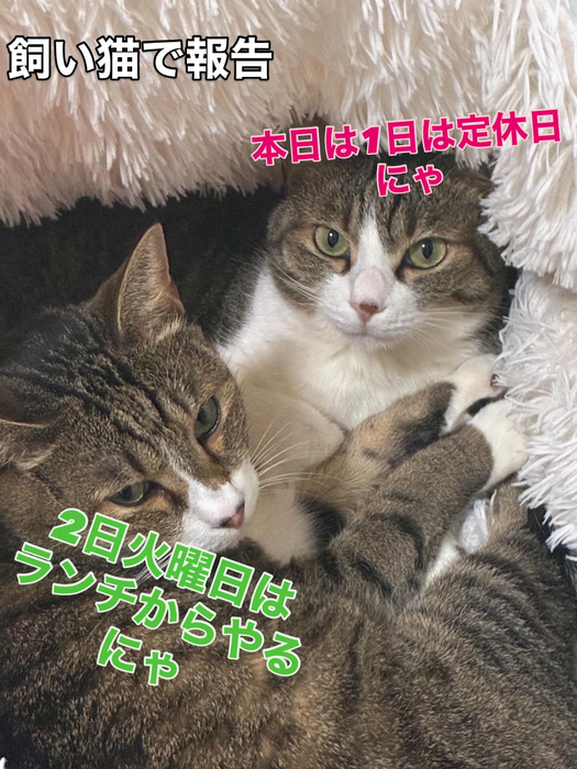 画像425